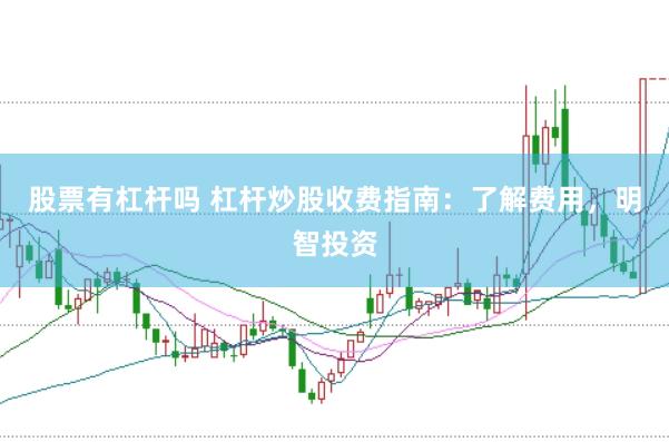 股票有杠杆吗 杠杆炒股收费指南：了解费用，明智投资