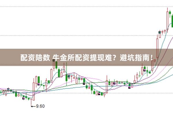 配资陪数 牛金所配资提现难？避坑指南！