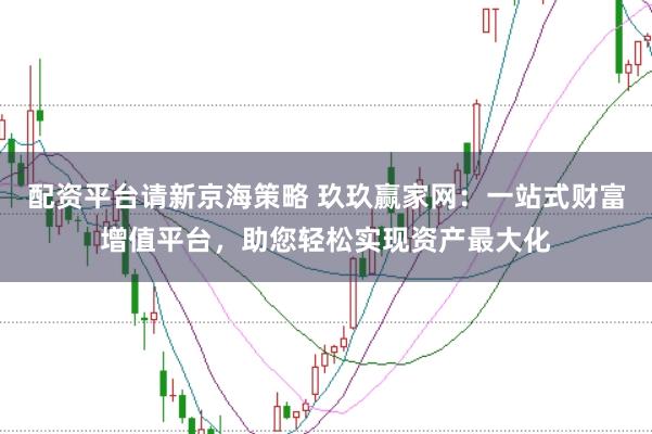 配资平台请新京海策略 玖玖赢家网：一站式财富增值平台，助您轻松实现资产最大化