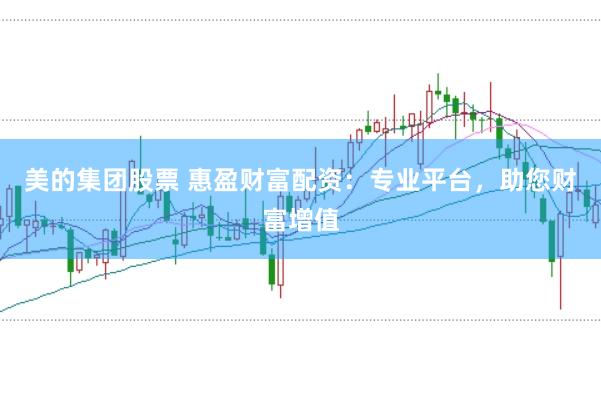 美的集团股票 惠盈财富配资：专业平台，助您财富增值