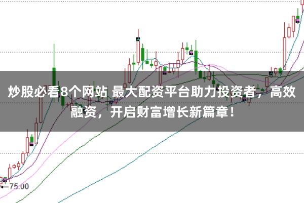 炒股必看8个网站 最大配资平台助力投资者，高效融资，开启财富增长新篇章！