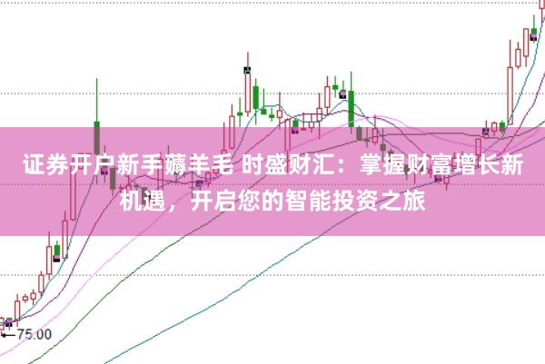 证券开户新手薅羊毛 时盛财汇：掌握财富增长新机遇，开启您的智能投资之旅