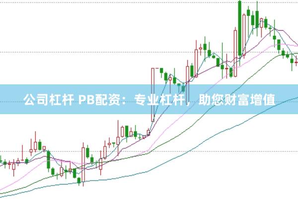 公司杠杆 PB配资：专业杠杆，助您财富增值