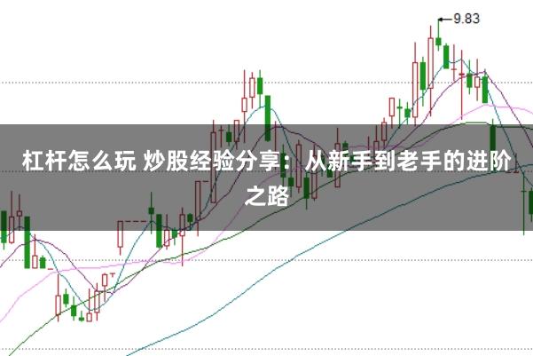 杠杆怎么玩 炒股经验分享：从新手到老手的进阶之路