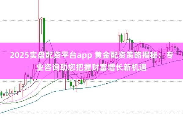 2025实盘配资平台app 黄金配资策略揭秘：专业咨询助您把握财富增长新机遇