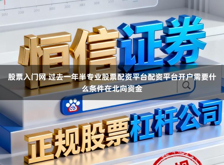 股票入门网 过去一年半专业股票配资平台配资平台开户需要什么条件在北向资金