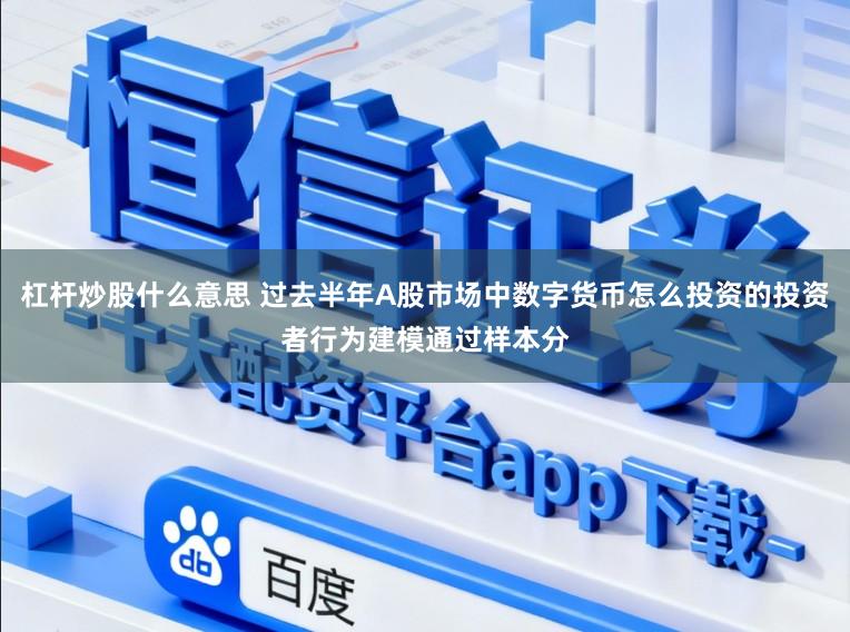 杠杆炒股什么意思 过去半年A股市场中数字货币怎么投资的投资者行为建模通过样本分