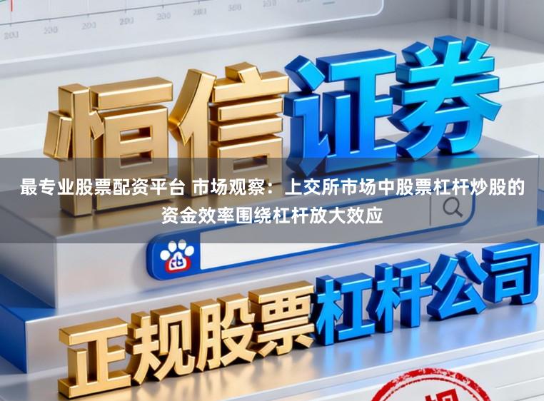 最专业股票配资平台 市场观察：上交所市场中股票杠杆炒股的资金效率围绕杠杆放大效应