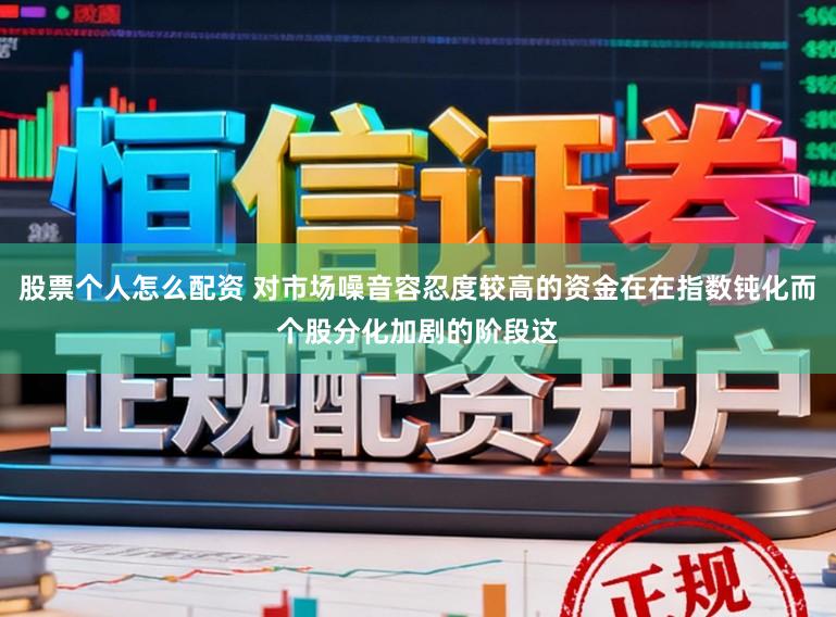 股票个人怎么配资 对市场噪音容忍度较高的资金在在指数钝化而个股分化加剧的阶段这