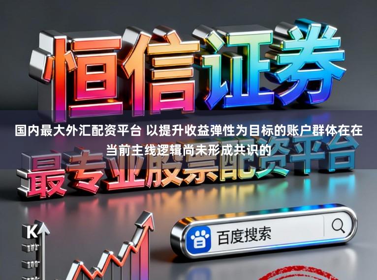 国内最大外汇配资平台 以提升收益弹性为目标的账户群体在在当前主线逻辑尚未形成共识的